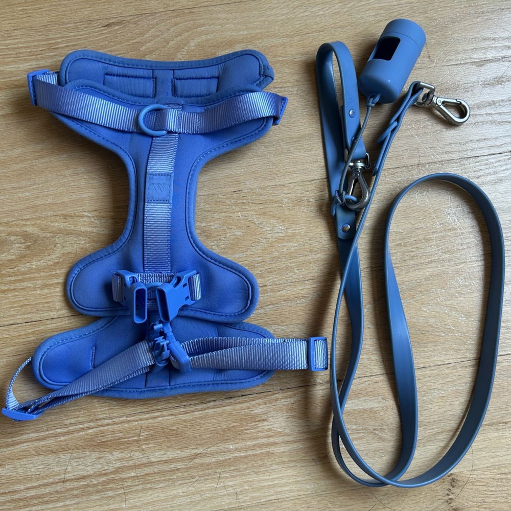 Wild One Moonstone Large Harness (NWOT) + Leash combo (Gently Used)
